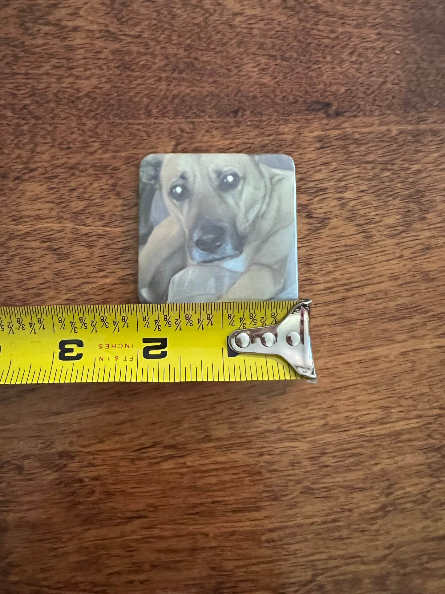 Personalized Magnets