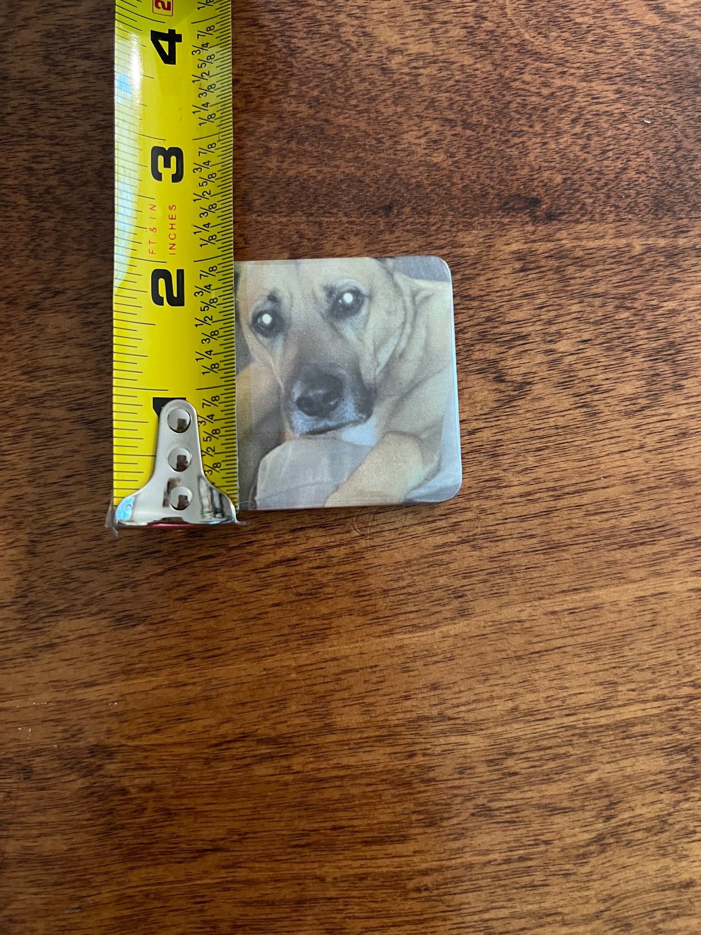 Personalized Magnets