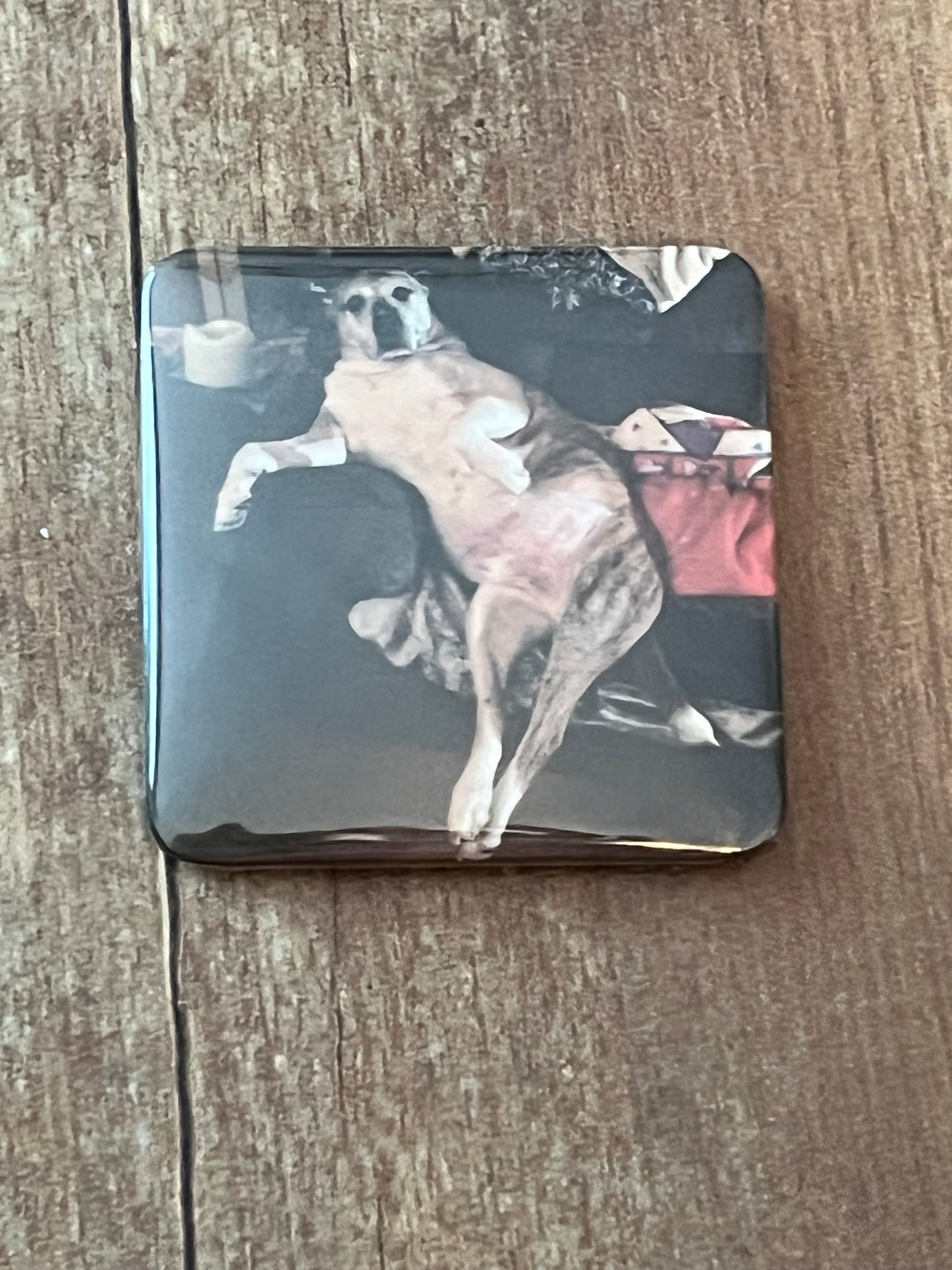 Personalized Magnets