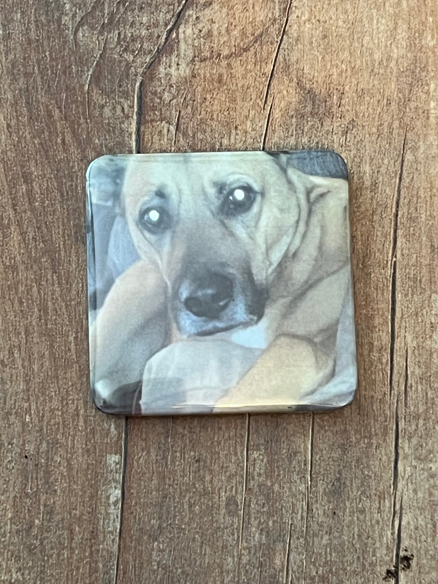 Personalized Magnets